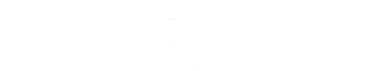 Nasqui Logo